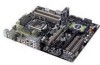 Get Asus SABERTOOTH 55i - Motherboard - ATX drivers and firmware