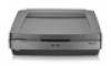 Get Epson Expression 11000XL - Photo drivers and firmware