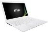 Get MSI S30 drivers and firmware