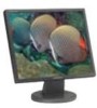 Get Samsung 940BF - SyncMaster - 19inch LCD Monitor drivers and firmware
