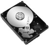 Get Seagate ST250DM000 drivers and firmware