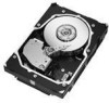 Get Seagate ST3146855LC - Cheetah 146.8 GB Hard Drive drivers and firmware