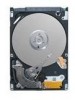 Get Seagate ST9250317AS - Momentus 5400 FDE 250 GB Hard Drive drivers and firmware