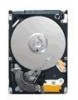 Get Seagate ST9320325AS - Momentus 5400.6 320 GB Hard Drive drivers and firmware