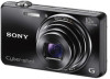 Get Sony DSC-WX100 drivers and firmware