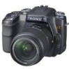 Get Sony DSLR A100 - a Digital Camera SLR drivers and firmware
