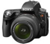 Get Sony SLT-A33L - alpha; Translucent Mirror Technology™ Dslr Zoom Lens drivers and firmware