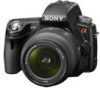 Get Sony SLT-A55VL - alpha; Translucent Mirror Technology™ Dslr Zoom Lens drivers and firmware