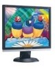 Get ViewSonic VA916 - 19inch LCD Monitor drivers and firmware