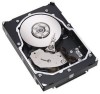 Get Seagate ST3300655LC drivers and firmware